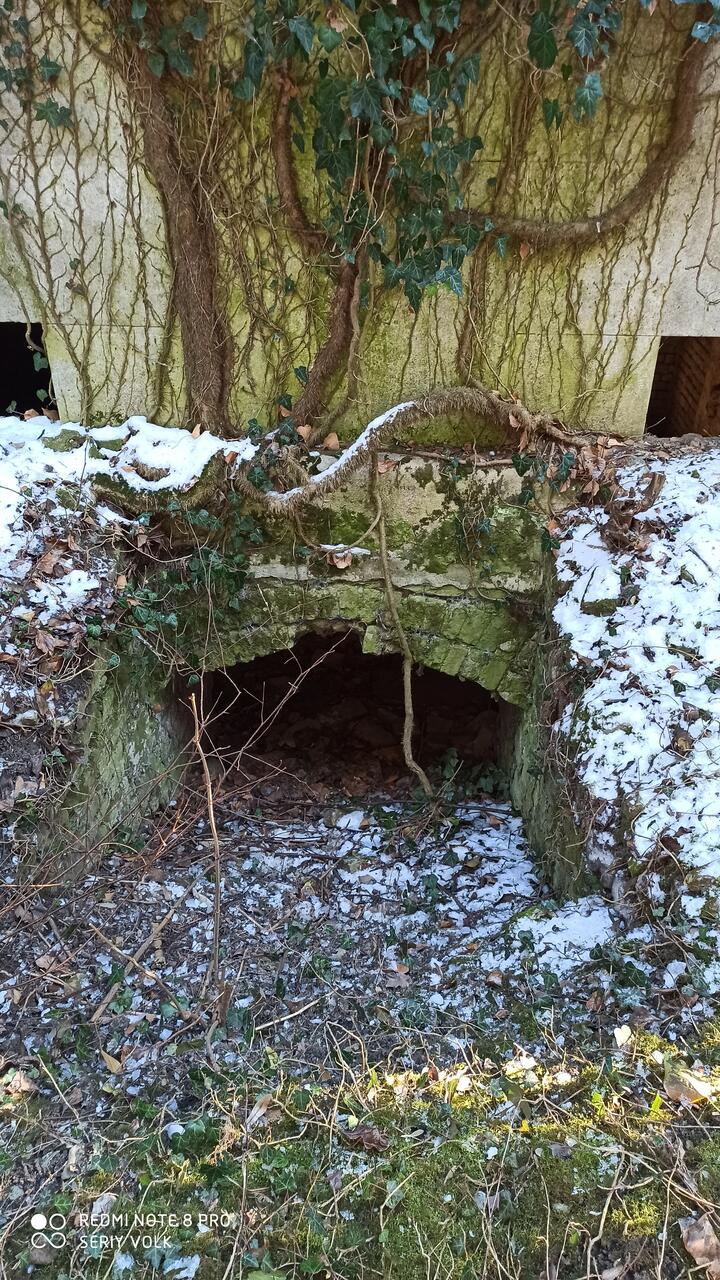 Без подписи