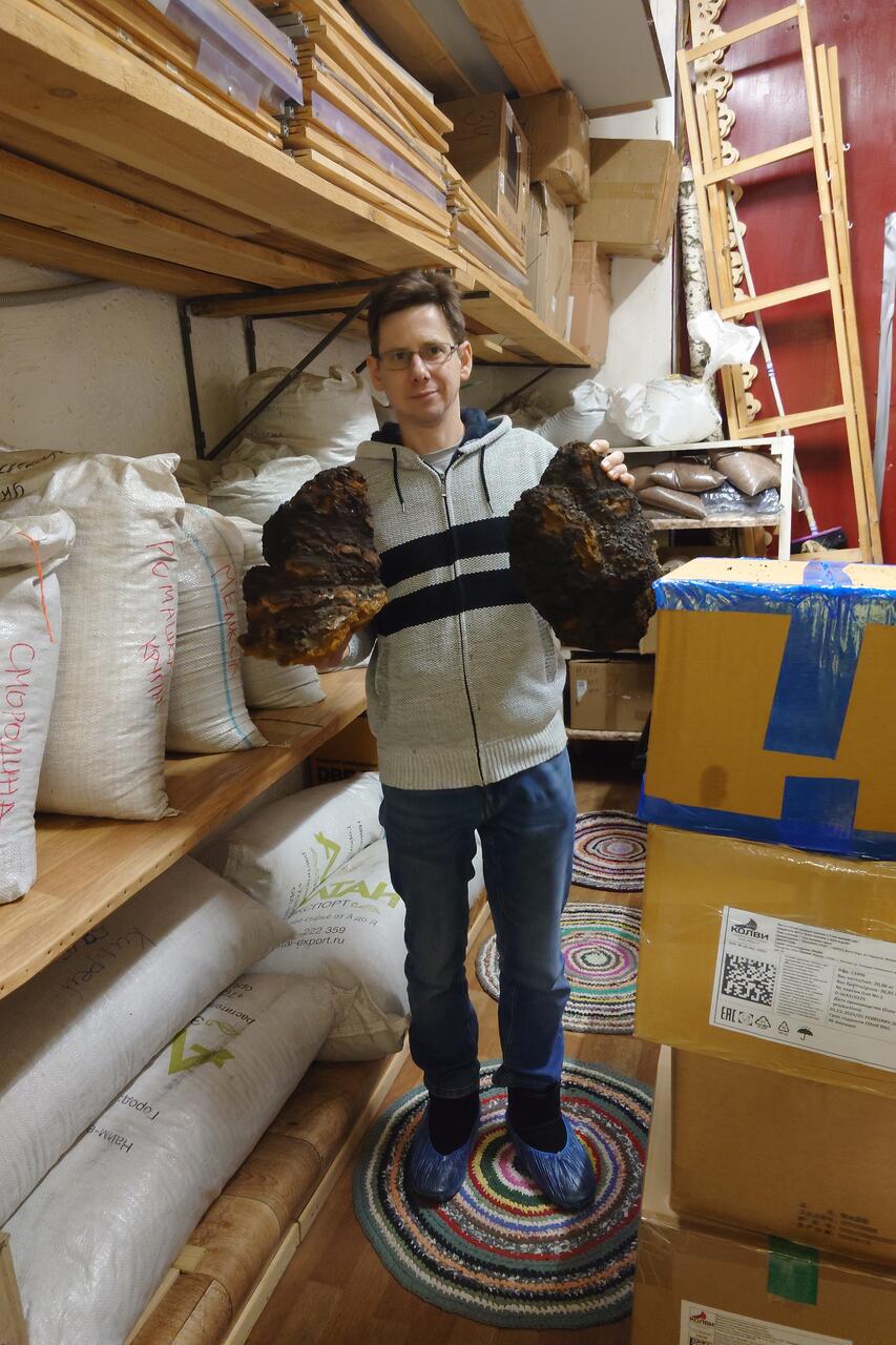 Огромные чаги!