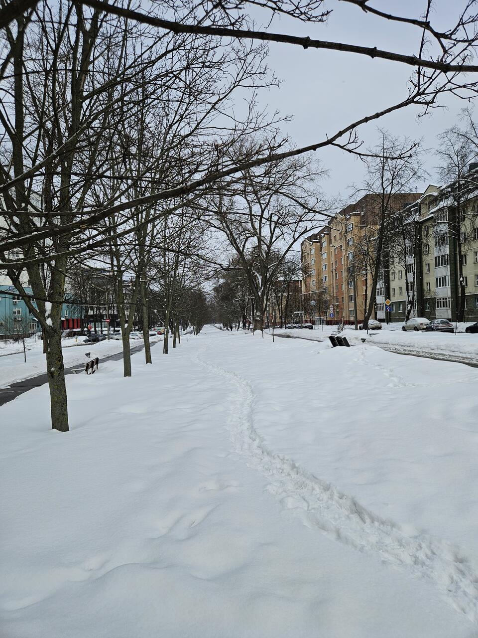 Без подписи