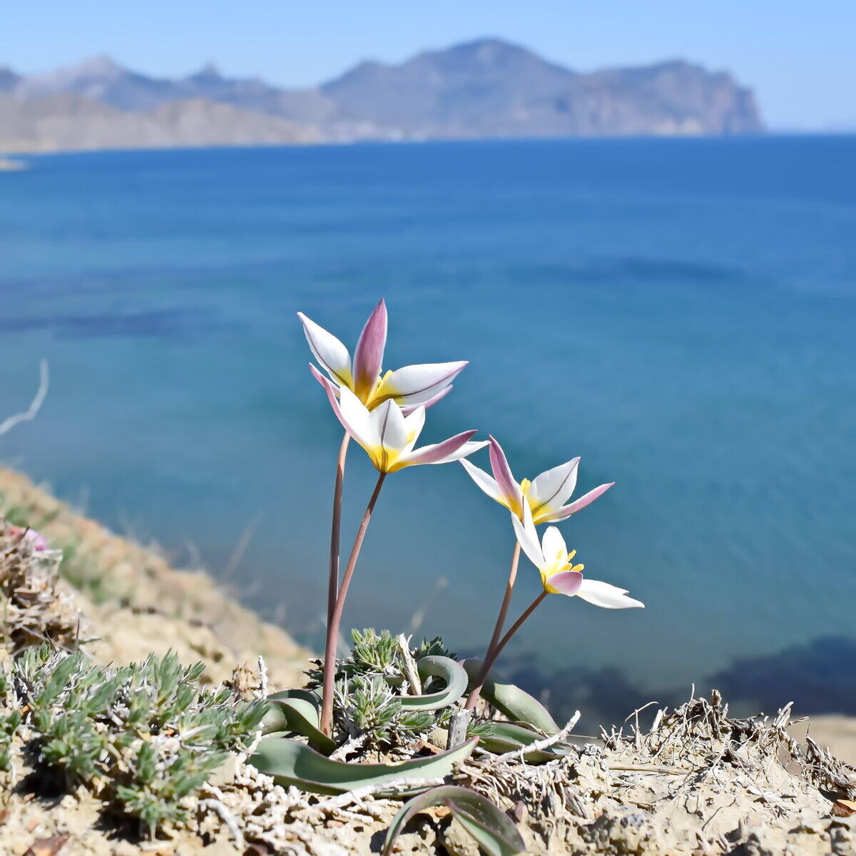 Без подписи