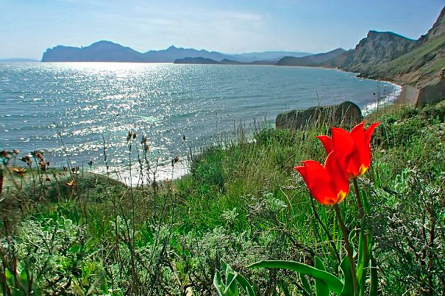 Без подписи