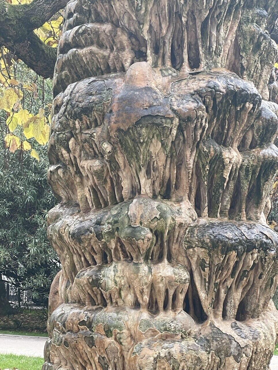 Без подписи