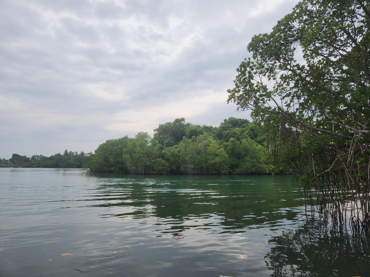 Змеиный остров