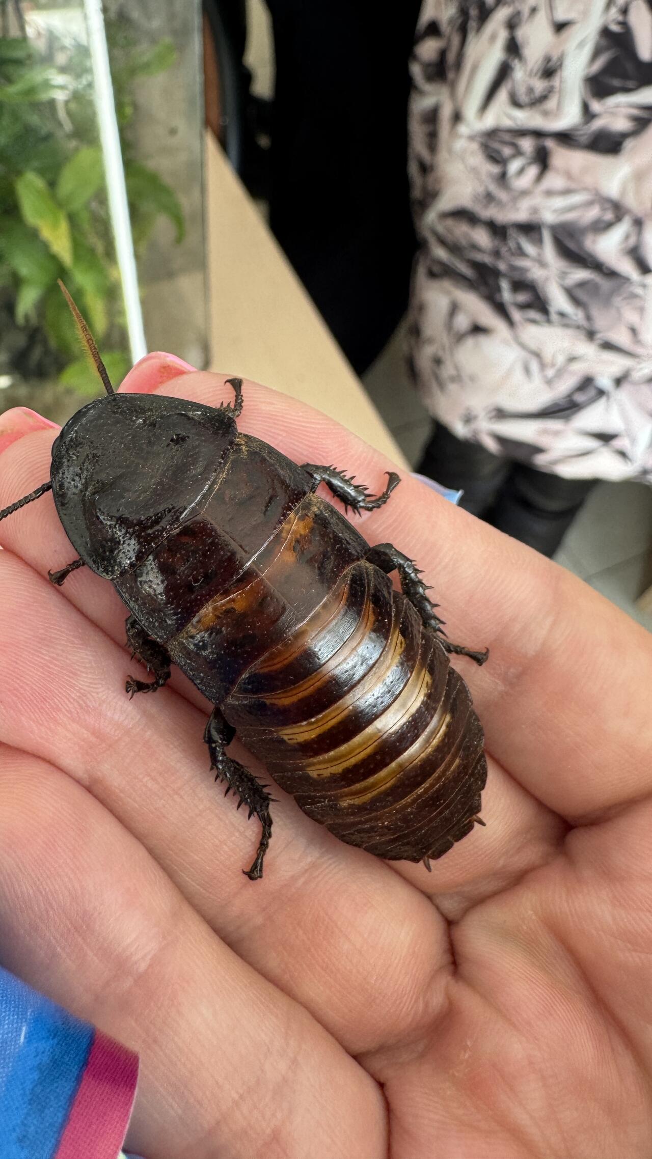 Без подписи