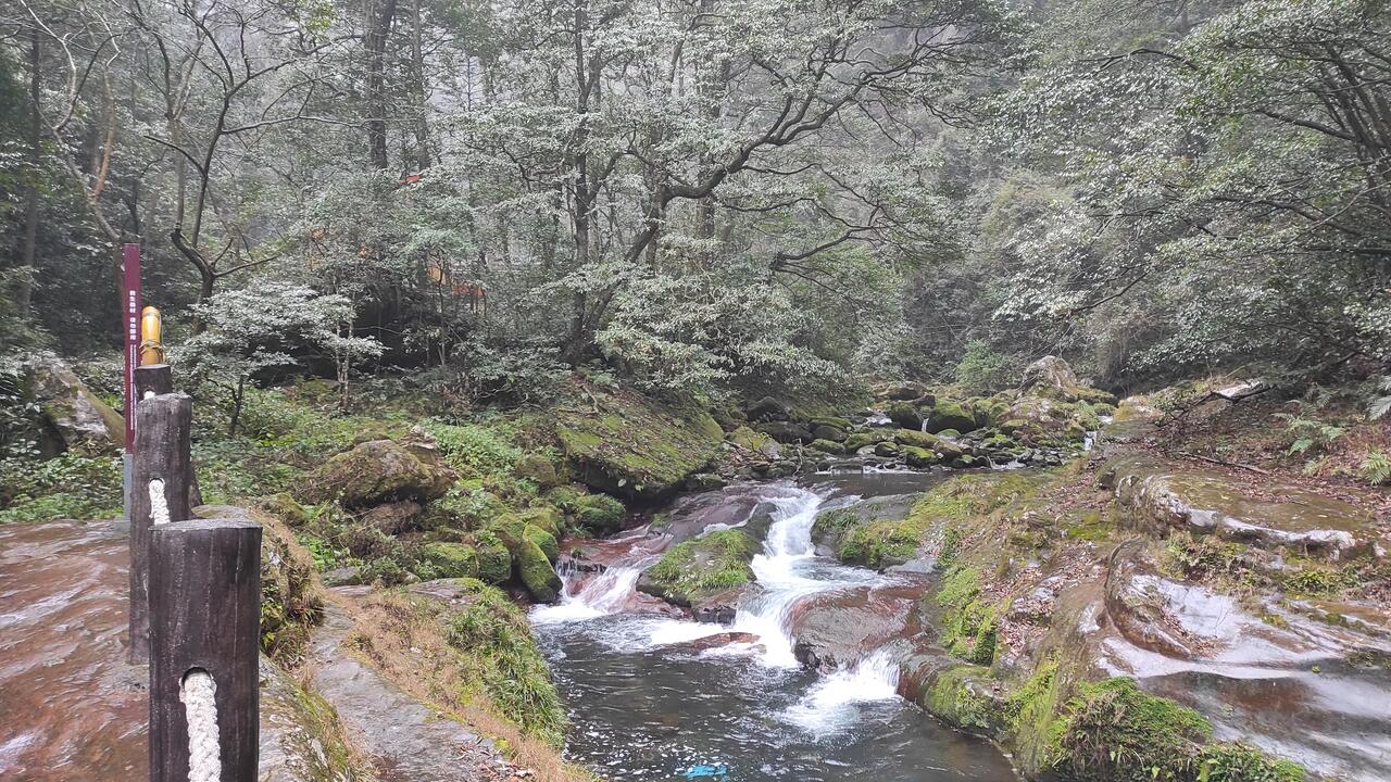 Без подписи