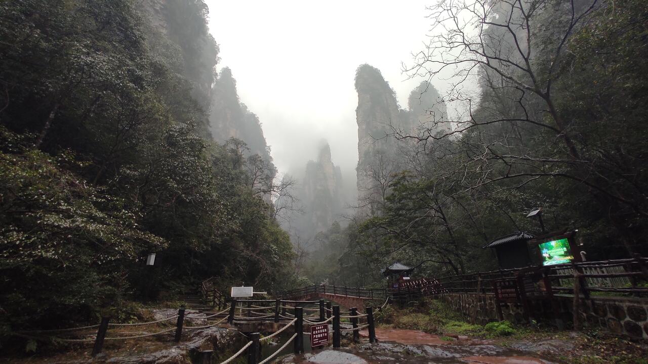 Без подписи