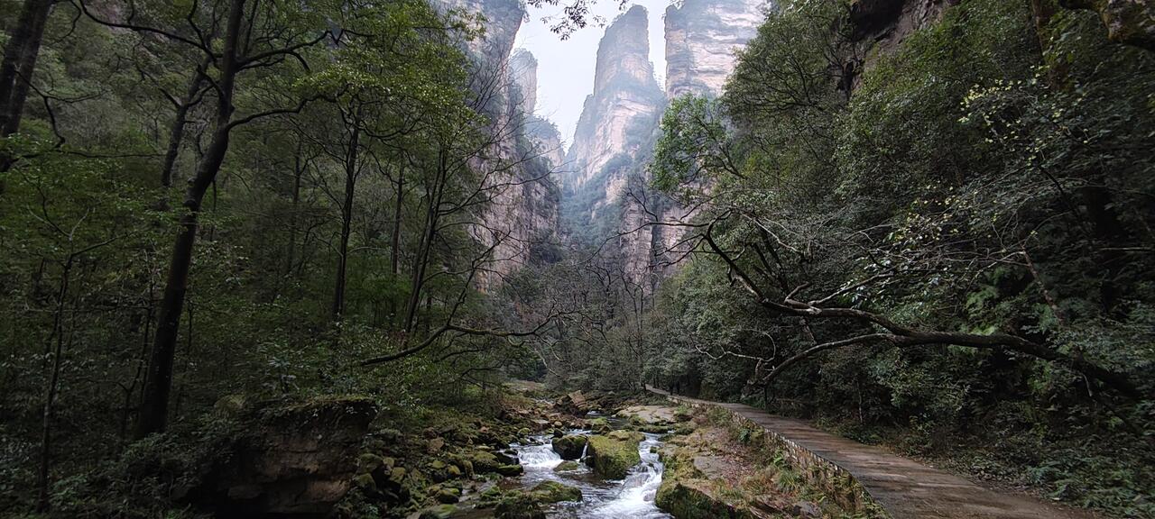 Без подписи