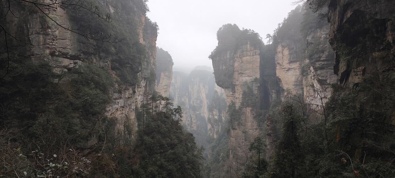 Без подписи