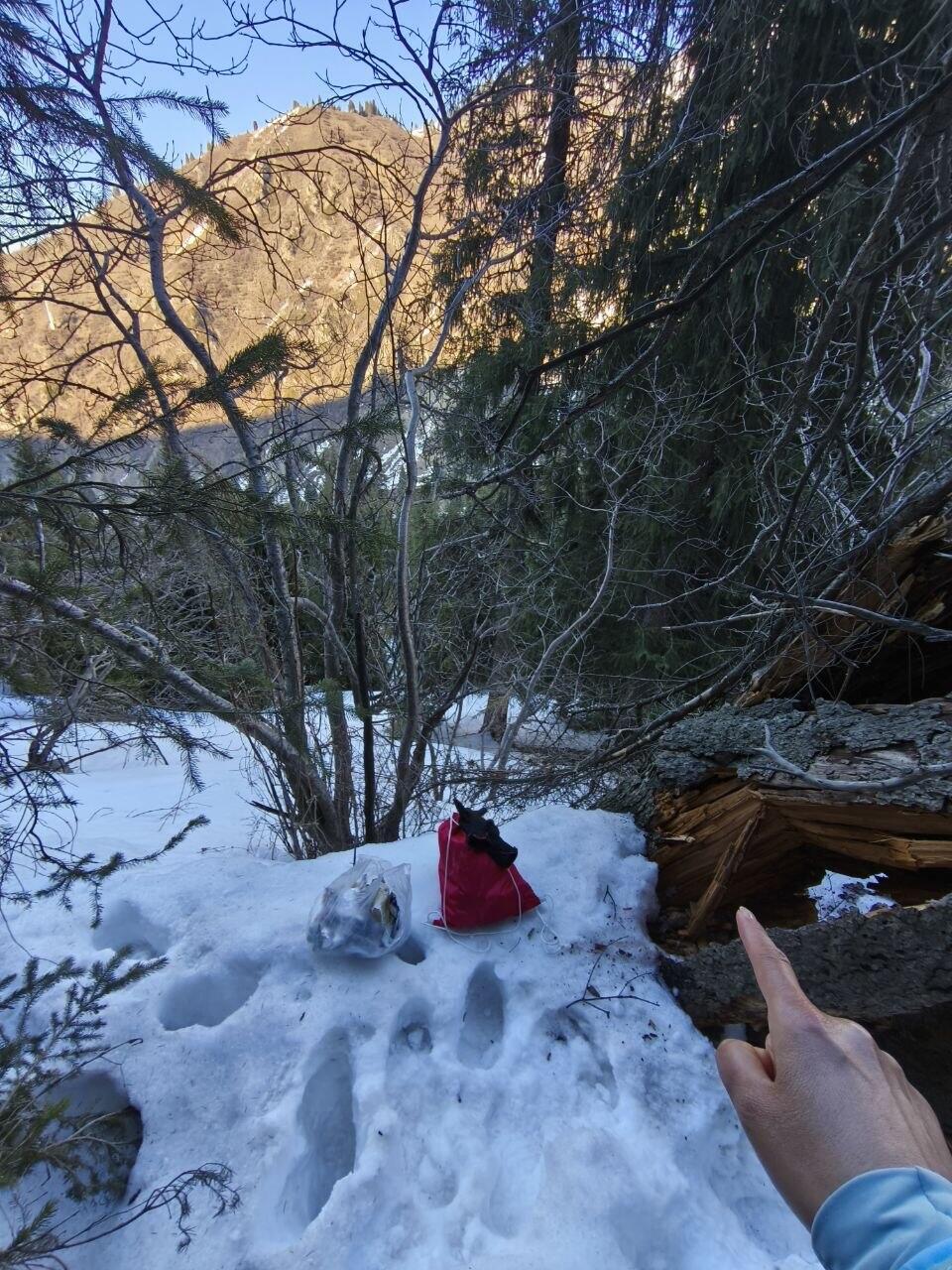 Без подписи