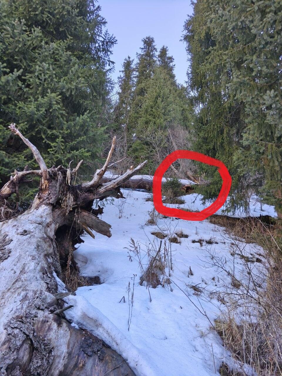 Вид с тропы