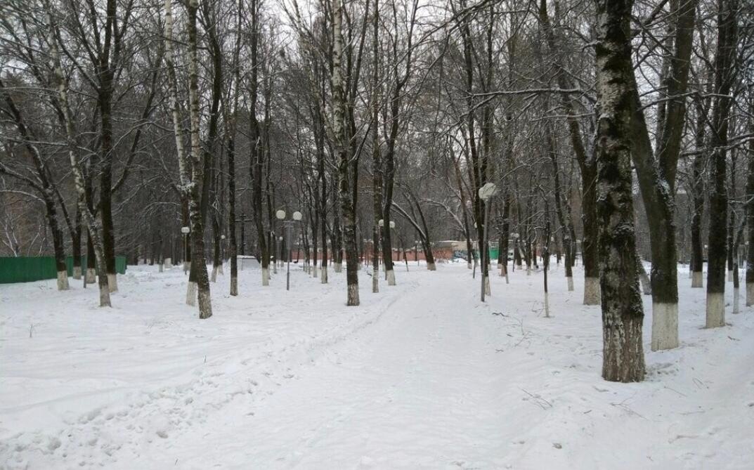 Без подписи