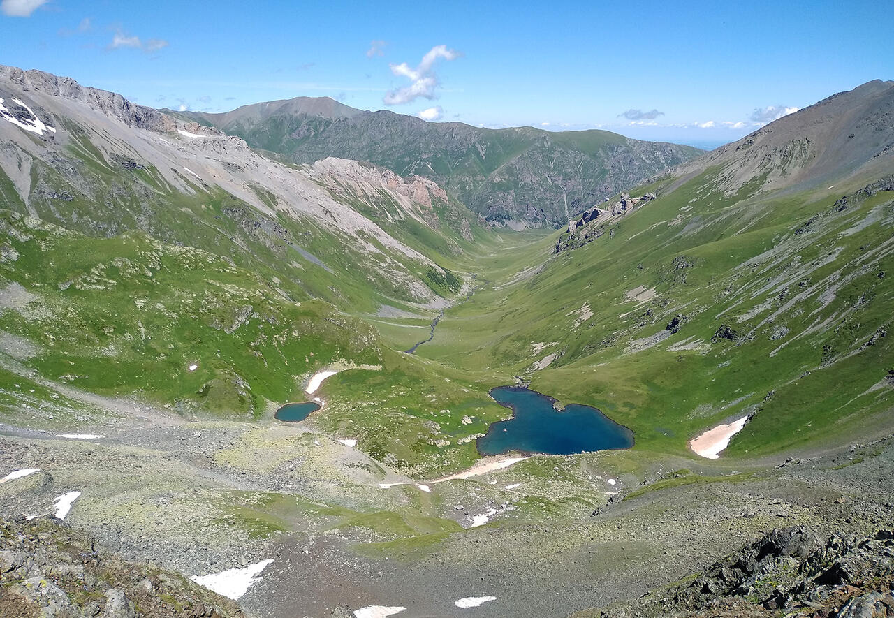 Без подписи