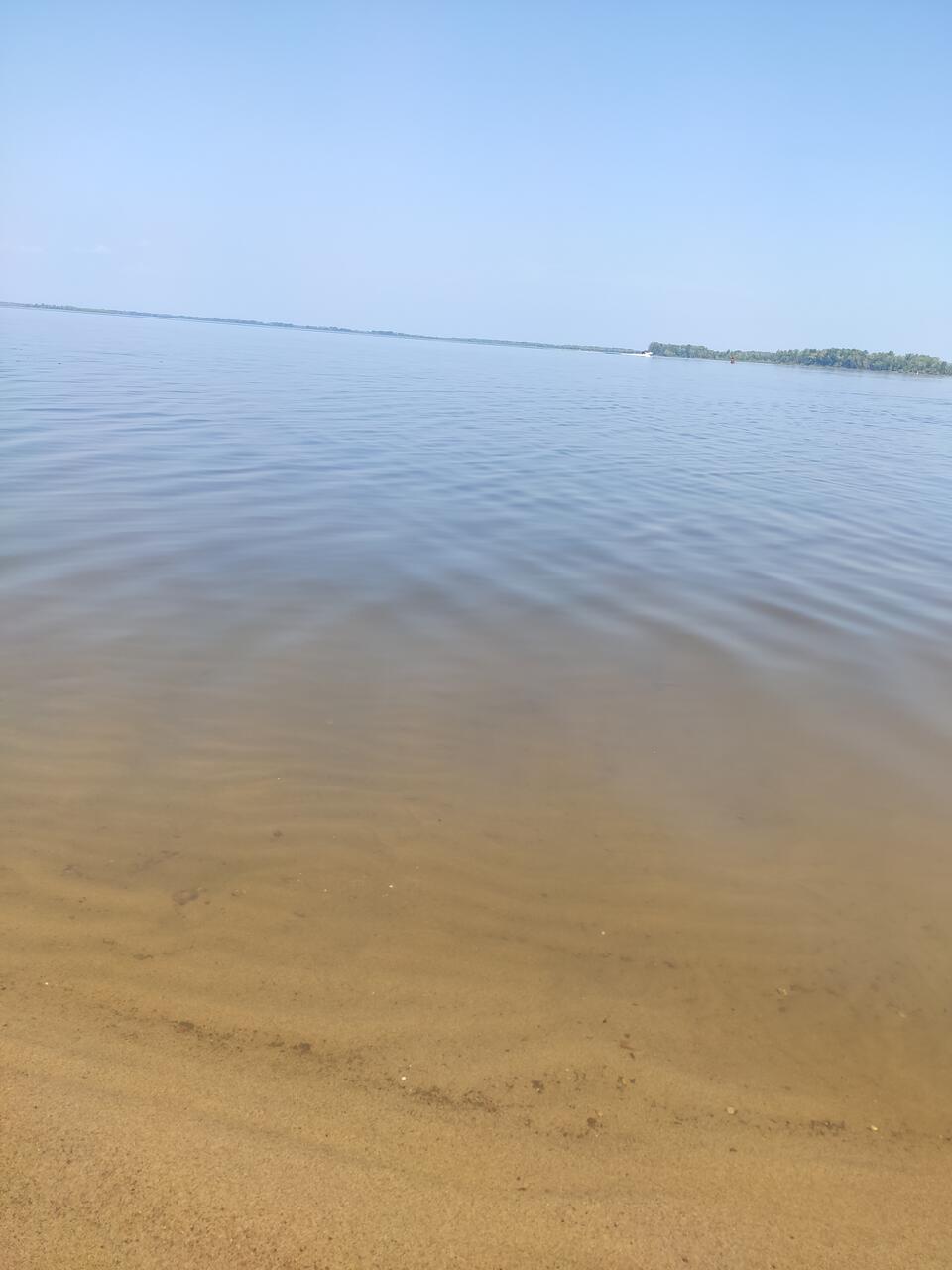 Без подписи