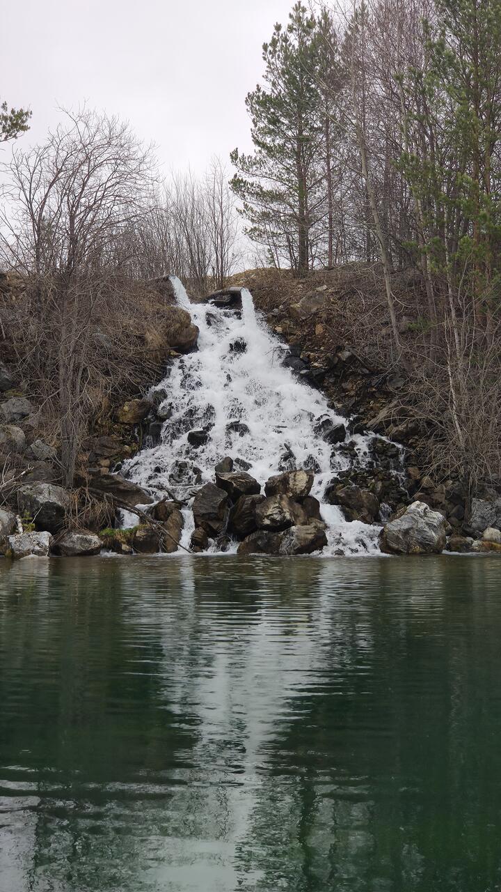 Без подписи