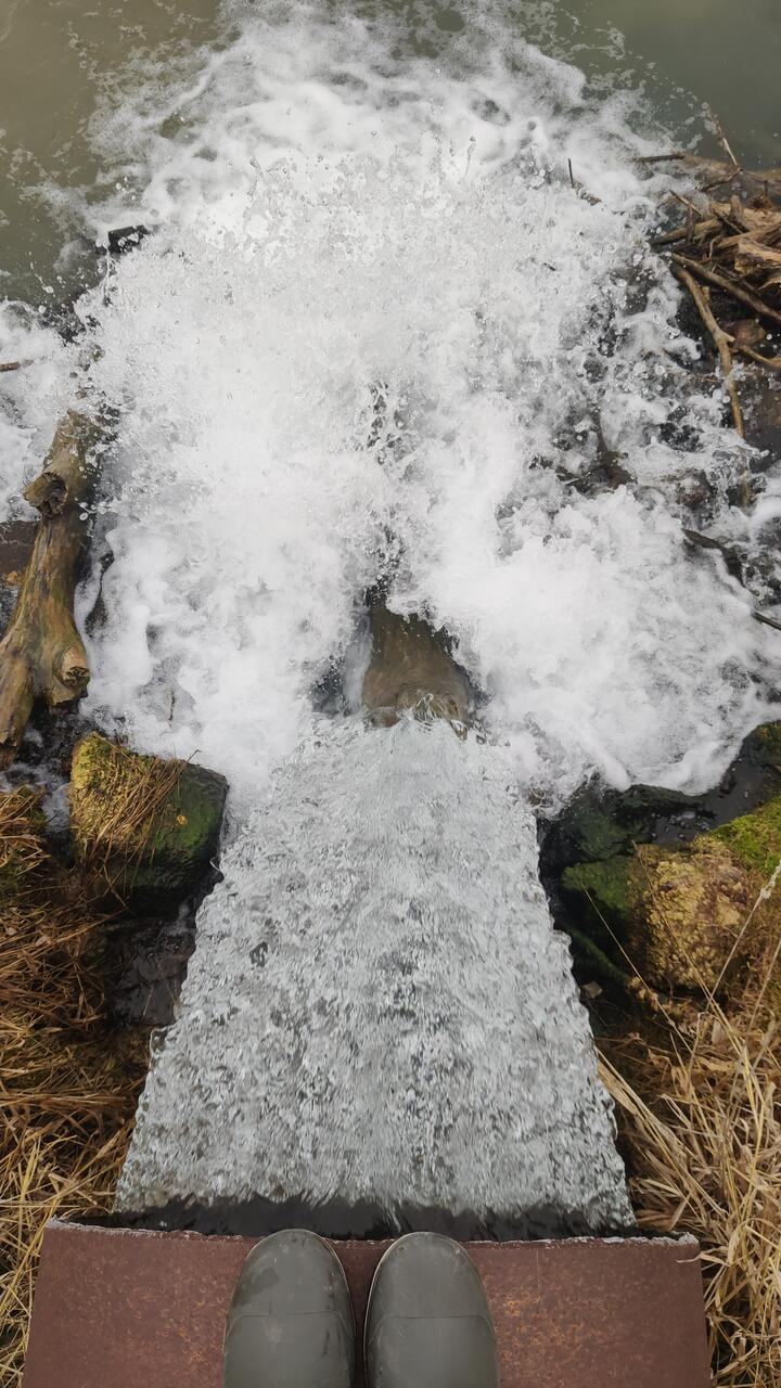 Без подписи