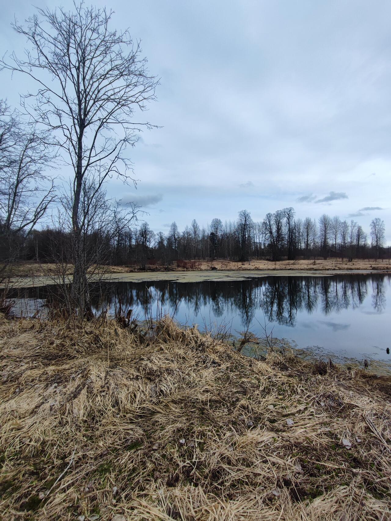 Без подписи