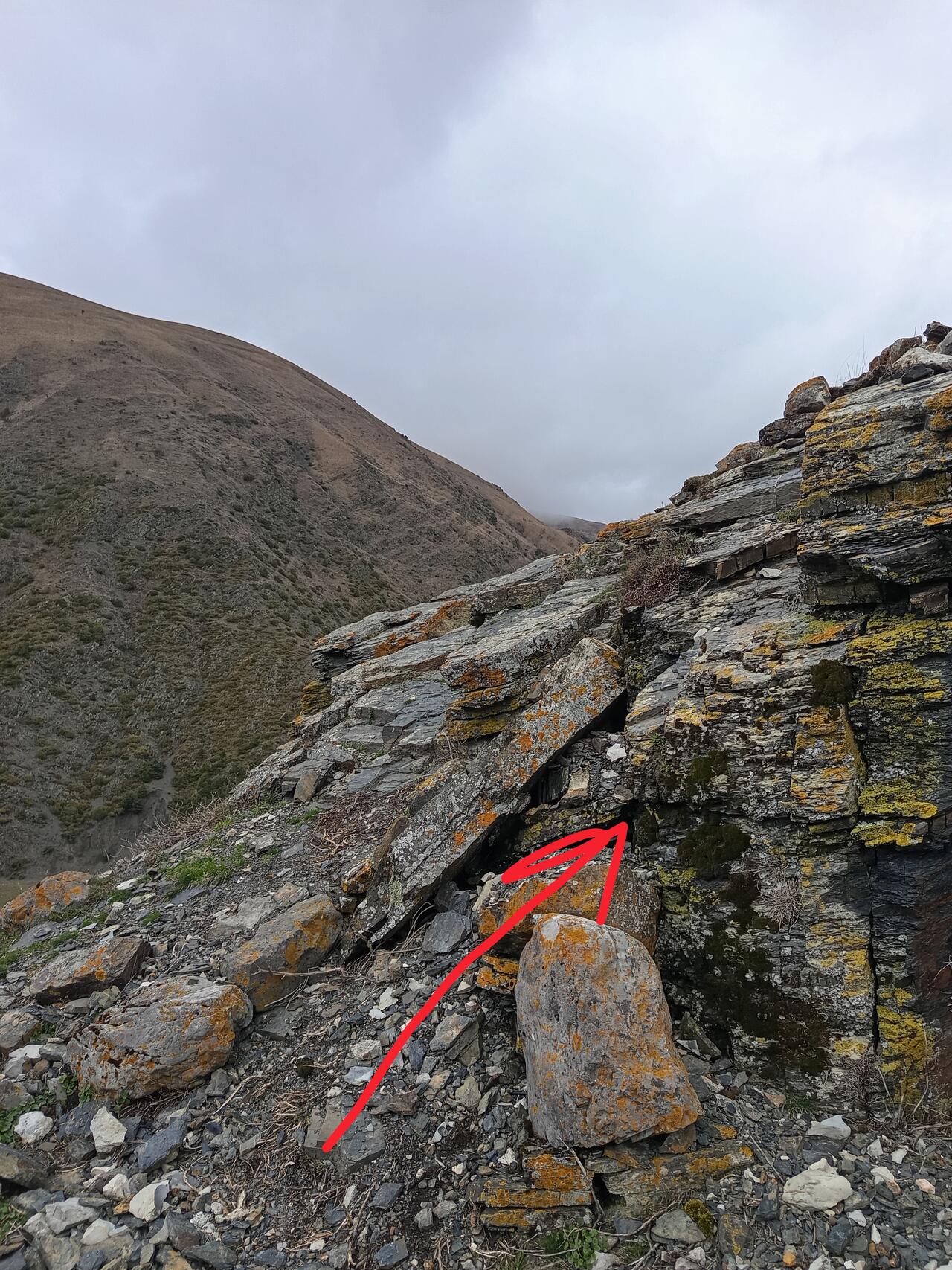 Место закладки: общий план