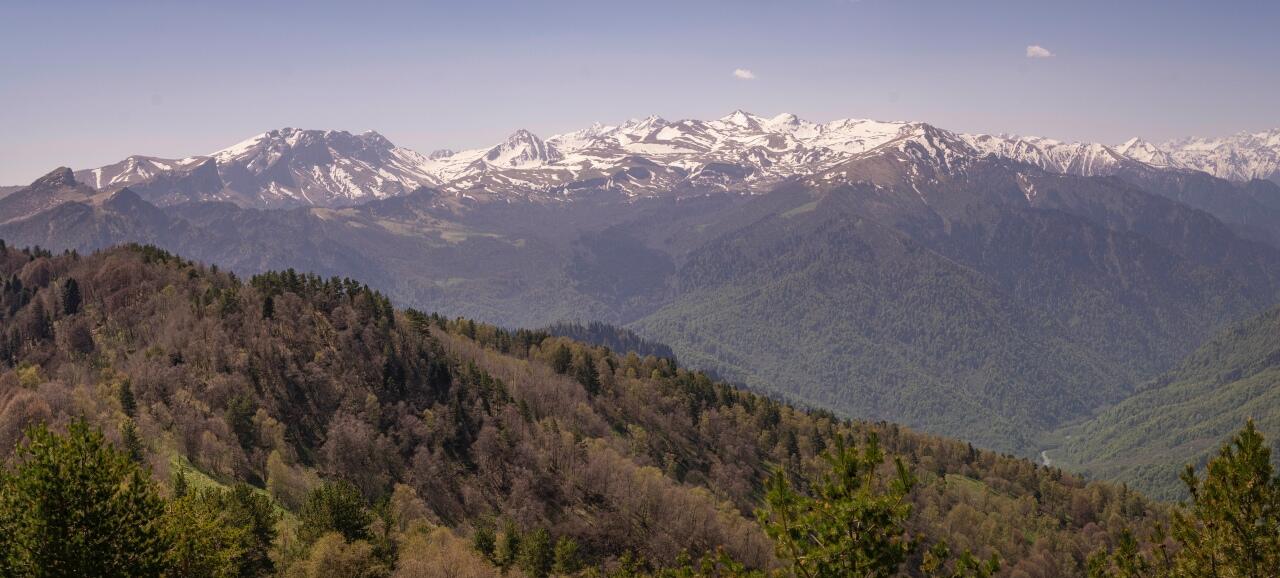 Без подписи