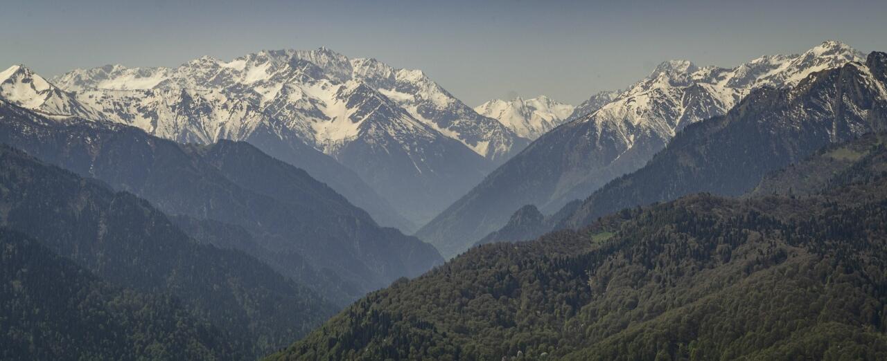 Без подписи