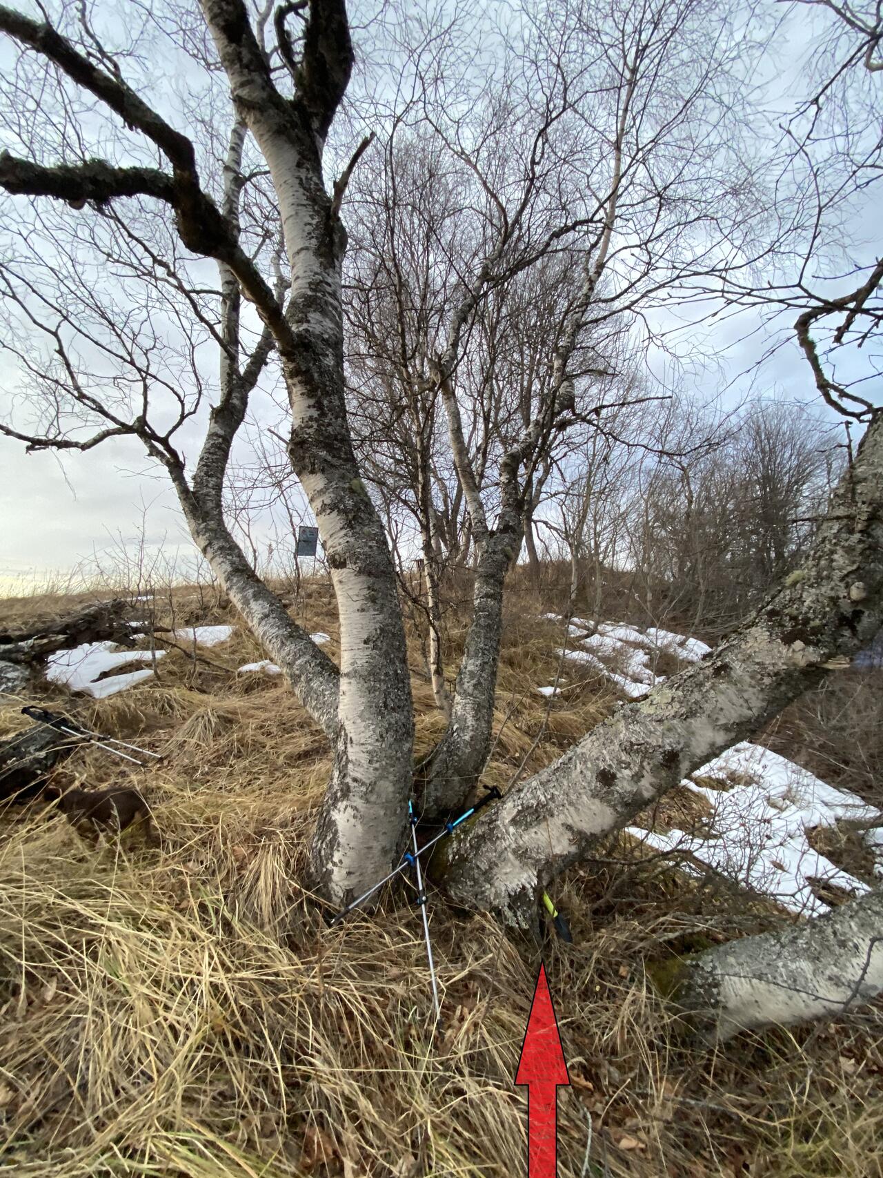 Без подписи