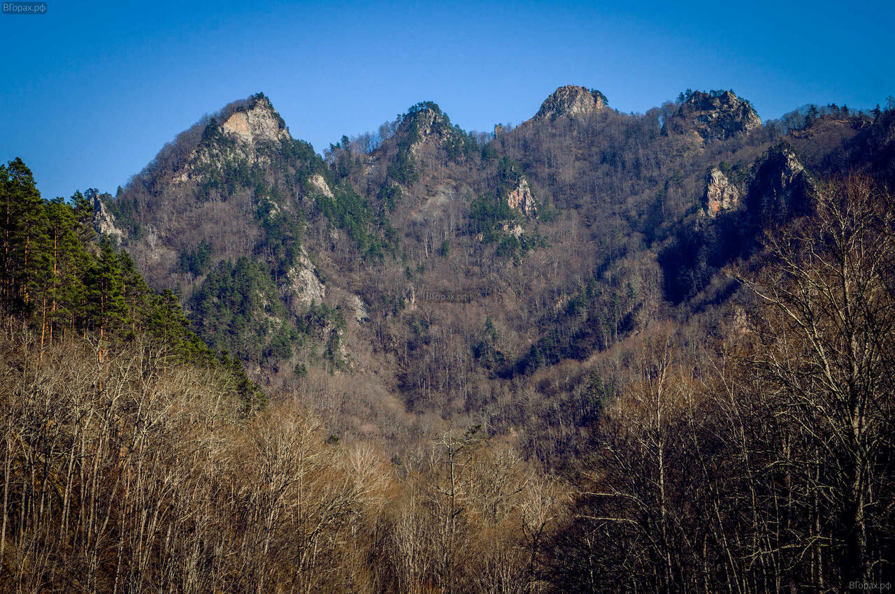 Без подписи