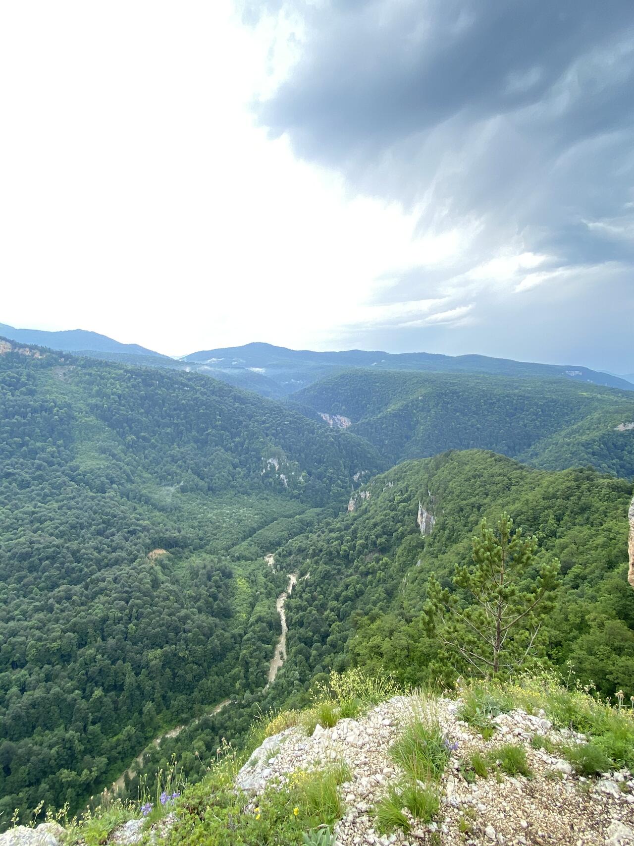 Без подписи