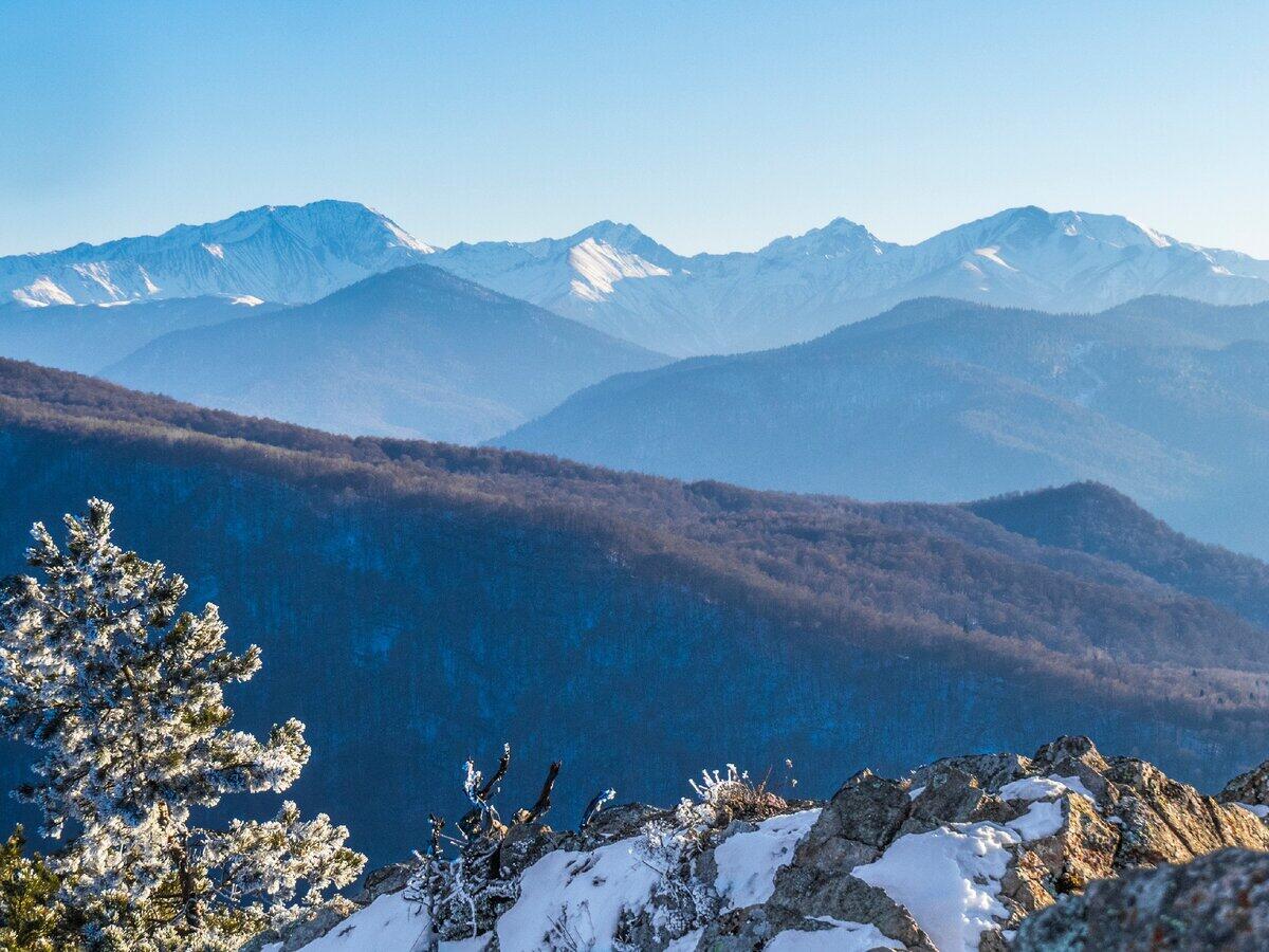 Без подписи