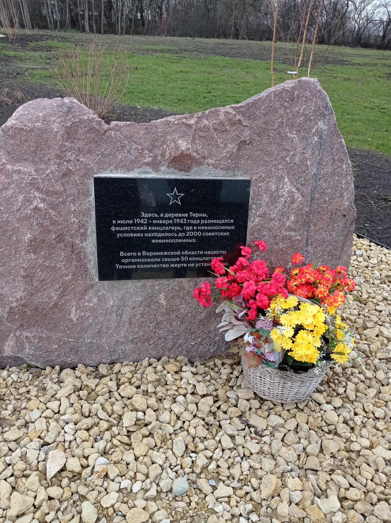 Без подписи