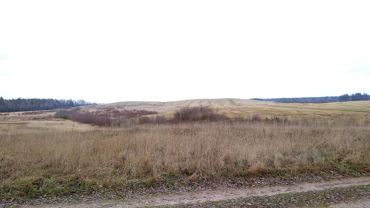 Huhti в ноябре.