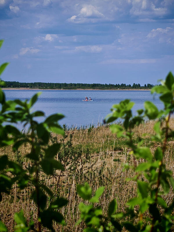 Без подписи