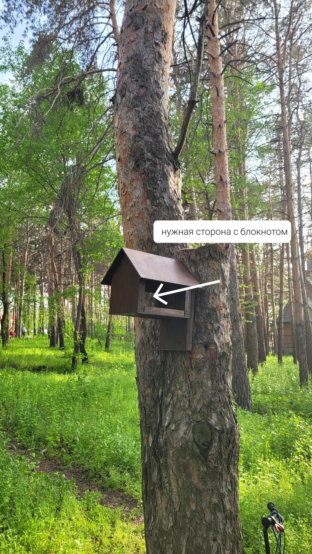 Без подписи