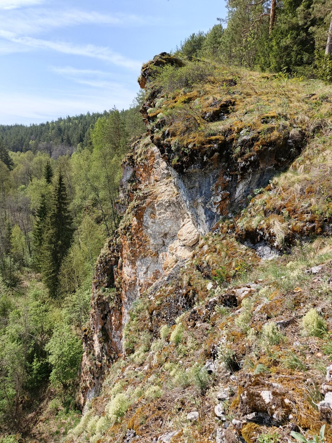Без подписи