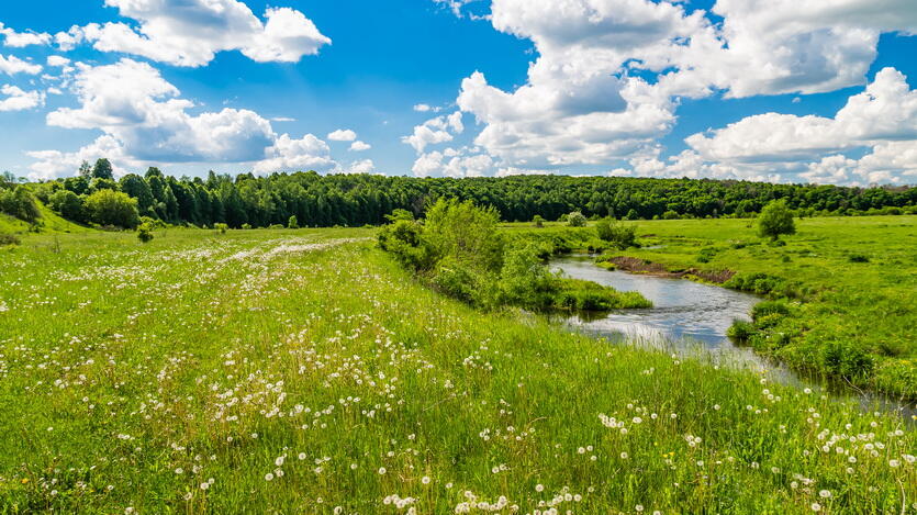 берег Плавы в районе Камня любви, можно Open Air проводить