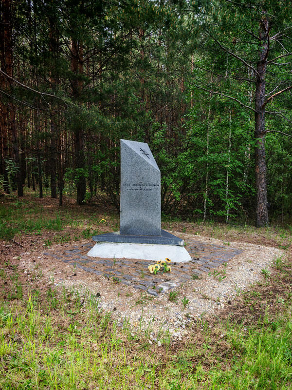 Без подписи
