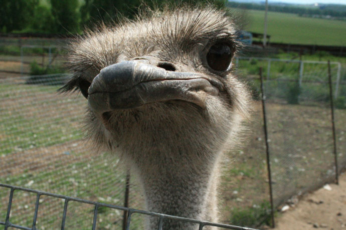 Без подписи