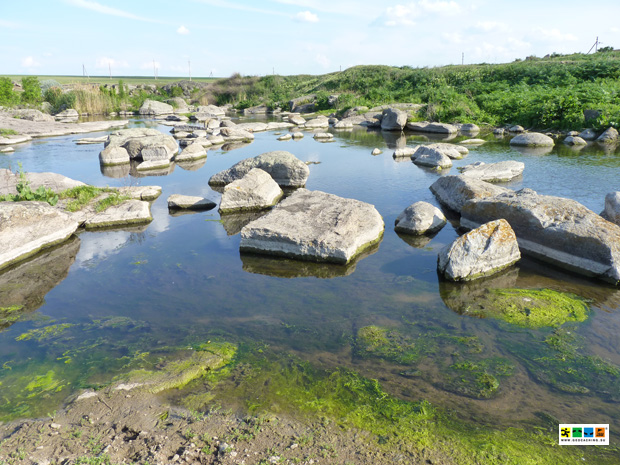 Без подписи