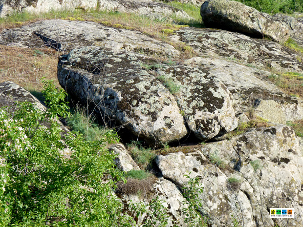 Без подписи