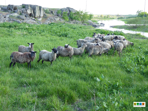 Без подписи