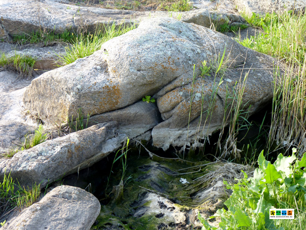 Без подписи