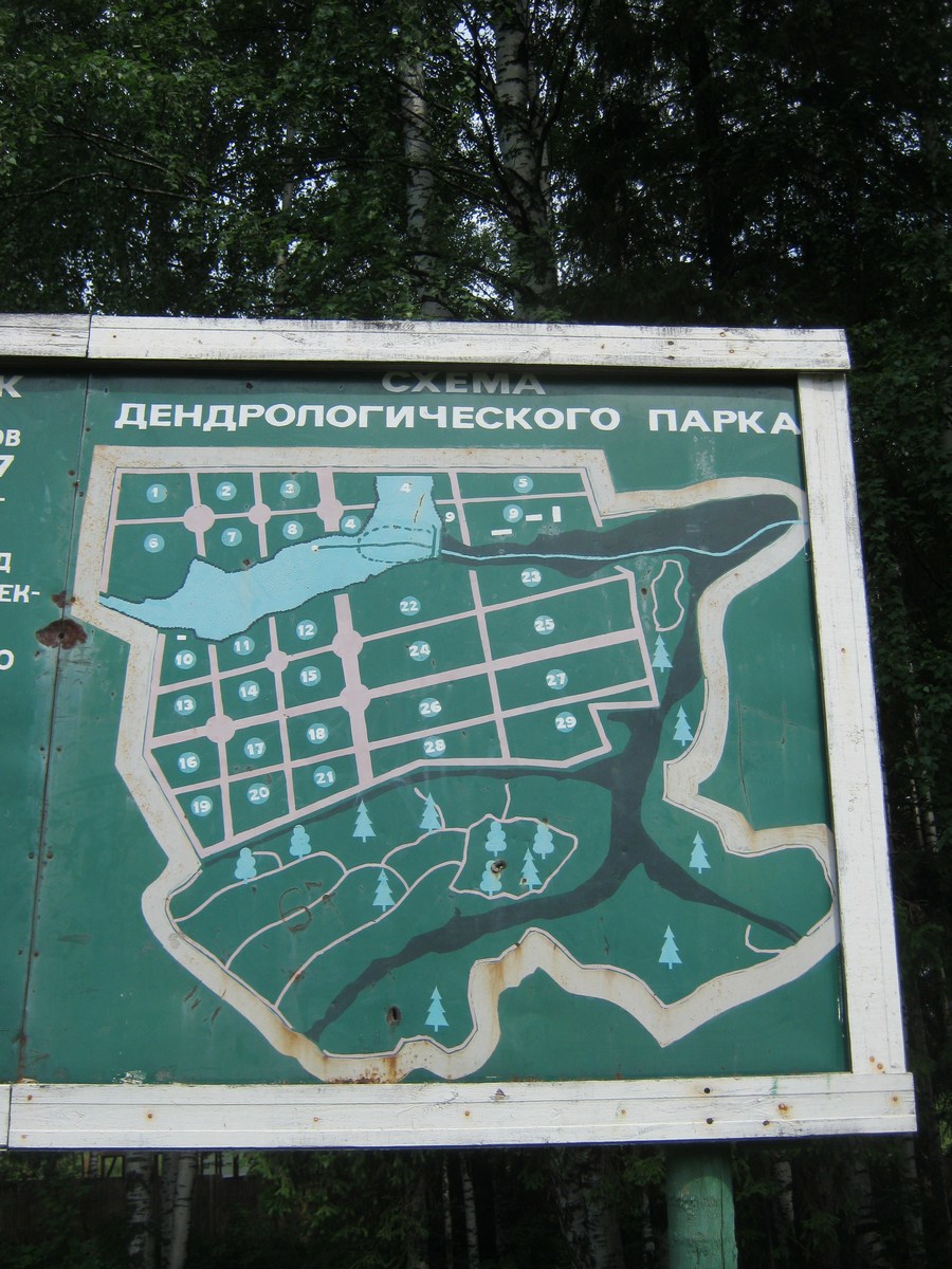 Дендропарк киров план - 97 фото