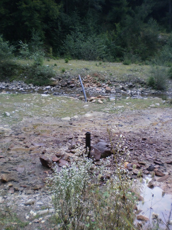 Без подписи