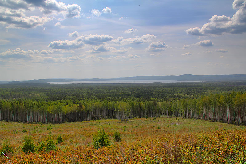 Без подписи