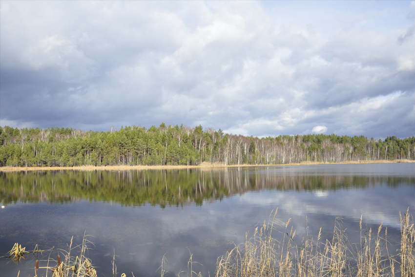 Погода медвежьи озера московской области. Медвежьи озера. Медвежьи озера фото местности.