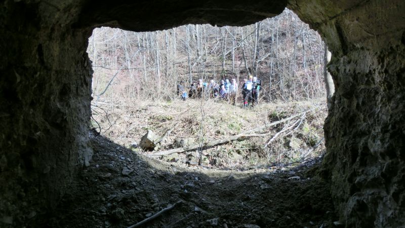 Без подписи