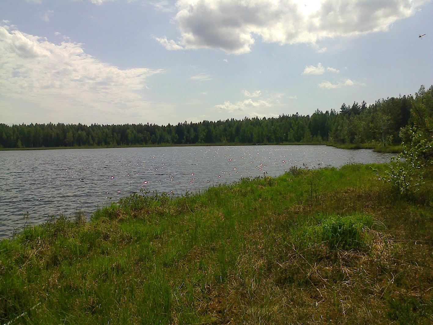Озеро игнатково петушинский район фото
