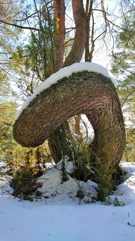 Без подписи