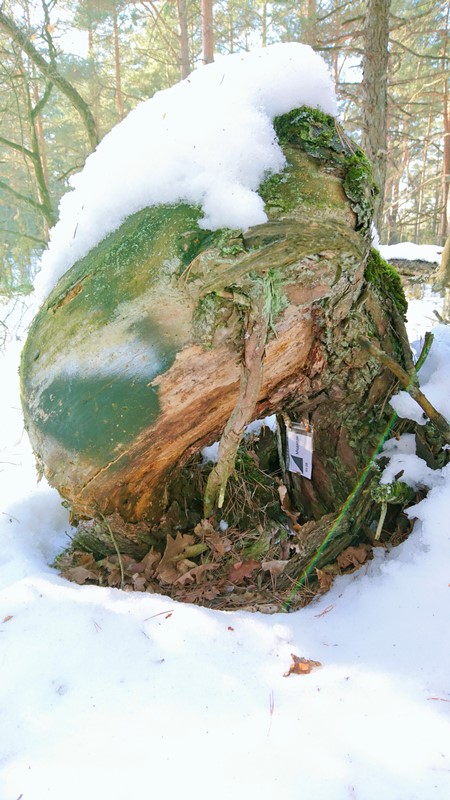 Здесь тайник