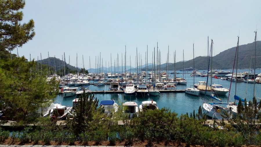 Без подписи