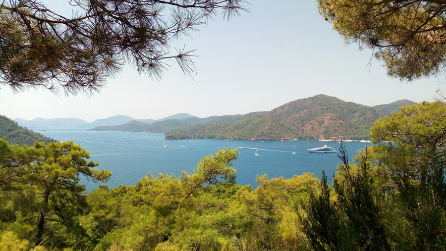 Без подписи