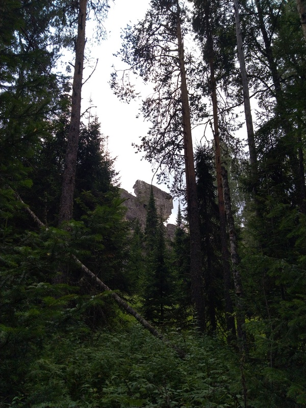 Без подписи